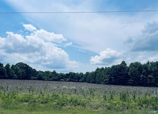 TRACT 5 Seven Mile Post Rd, Athens, AL 35614