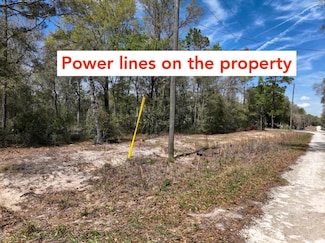 0 NE 154th Terrace Unit 22975137, Williston, FL 32696