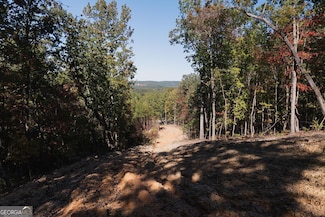 34 E Heritage Dr NE, Rydal, GA 30171