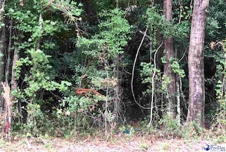 432 E Siesta Dr, Florence, SC 29505