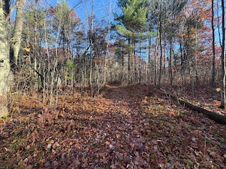 11482 Hill And Dale Dr, Minocqua, WI 54548