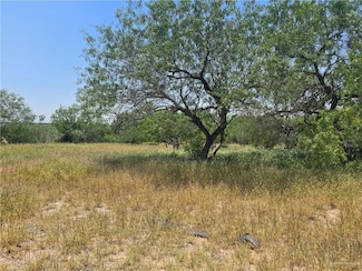 512 Garza Ave, La Joya, TX 78560