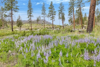 Lot 8 Roaring Lion Rd, Hamilton, MT 59840