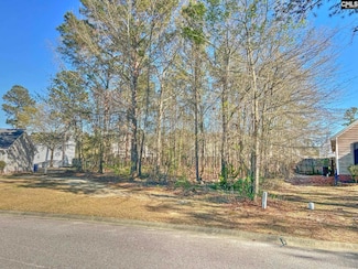 314 Downs Dr, Columbia, SC 29209