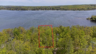 10448 W Munro Lake Dr, Levering, MI 49755