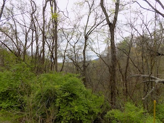 Par 067.14 Alpha Rd, Newport, TN 37821