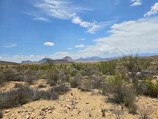 125 Howard Rd, Terlingua, TX 79852