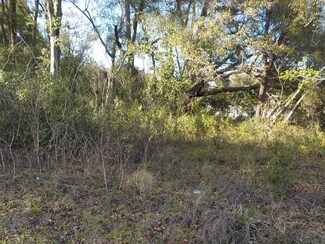 0 SE 139 Ln Unit OM653295, Belleview, FL 34491