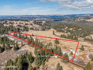 L5 Salin's Spur Rd, Homer, AK 99603