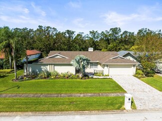 13916 Pepperrell Dr, Tampa, FL 33624