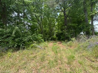 0 Depot St, Franklinville, NC 27248