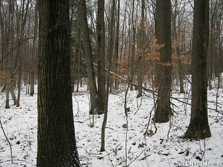 00 Preemption Rd, Reading, NY 14891