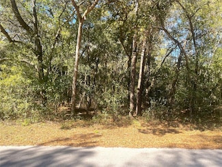 0000 SW 199th Ct, Dunnellon, FL 34431