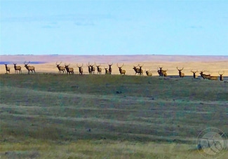 79 Trail, Lewistown, MT 59457