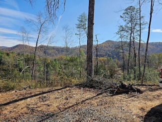 25 Odell Loop, Murphy, NC 28906