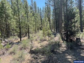 TL 300 National Forest Development Road 9768, Crescent, OR 97733