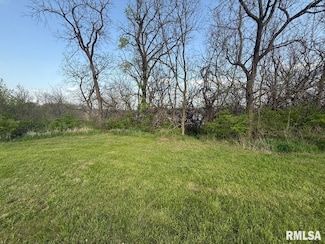 11428 N Boulder Creek Ct, Dunlap, IL 61525