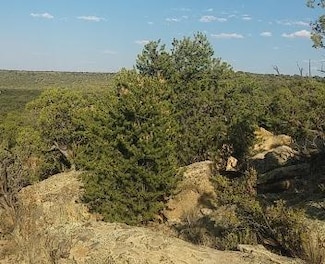 0 County Rd Unit 23426782, Concho, AZ 85924
