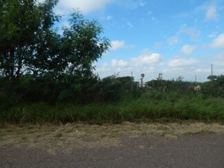 5305 Pety Ln, Zapata, TX 78076
