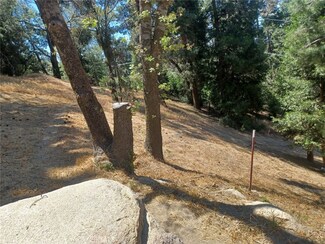 0 Pine Unit SW25182435, Twin Peaks, CA 92391