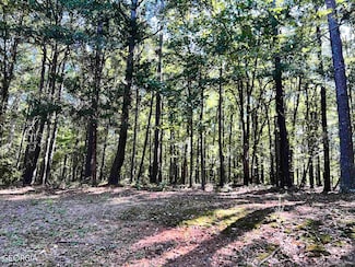 600 Hillview Tract 2 Rd, Hampton, GA 30228