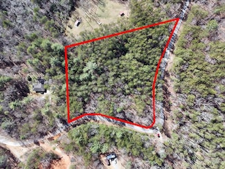 LL321 Turkey Trot, Blairsville, GA 30512