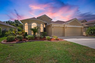 11428 Crisfield Place, New Port Richey, FL 34654