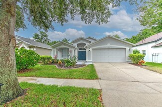 15543 Martinmeadow Dr, Lithia, FL 33547