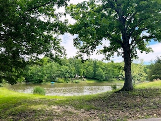 6640 Doe View Beaver Park, Steedman, MO 65077