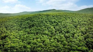2448 Lost Nation Rd, East Haven, VT 05837