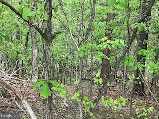 LOT #184 Sleigh, Cross Junction, VA 22625