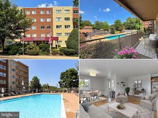 200 N Maple Ave Unit 317, Falls Church, VA 22046