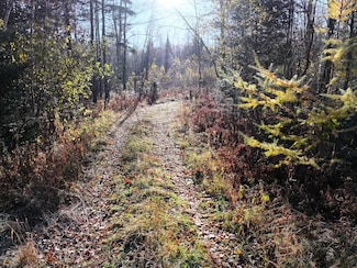 0 Roberts Lake Rd Unit 11616225, Laona, WI 54541