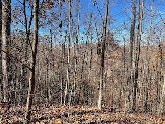 Lot 49J Indian Trail, Hayesville, NC 28904