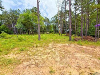 0 Tbd Cr 128 Unit 20253062, Overton, TX 75684