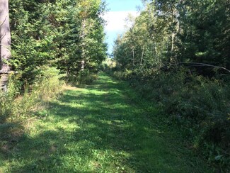 103 Tree Top Estates, Woodsville, NH 03785