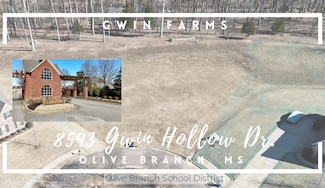 8593 Gwin Hollow, Olive Branch, MS 38654