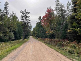 xxx Rivard Rd, Babbitt, MN 55706