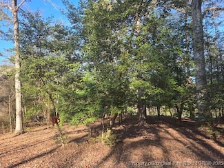 877 Elderberry Dr, Vass, NC 28394