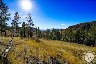0 Dry Hole Trail Unit 353747, Reed Point, MT 59069
