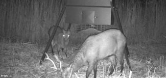 3241 Robbins Rd, Crapo, MD 21626