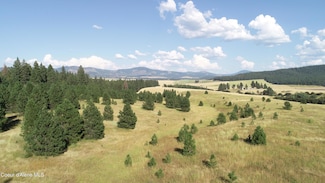 Lot 3 Vine Maple, Desmet, ID 83824