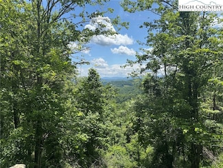 TBD- lot 1 Mayito Ln, Mouth of Wilson, VA 24363