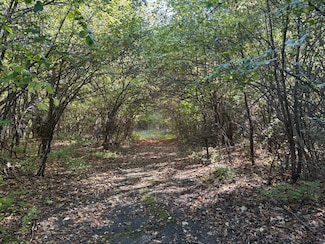 VL 40 Clinton Way, Blackman Township, MI 49201