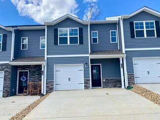 1106 Saylors Place, Jonesborough, TN 37659