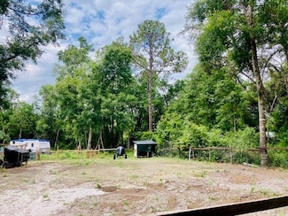 407 Raulerson Rd, Seville, FL 32190