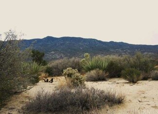 0 S Palm Canyon Dr Unit SW13229854, Mountain Center, CA 92561