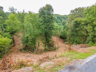 Lot 102 Stone Bridge Dr, Dandridge, TN 37725