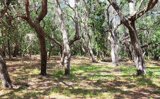 20260 Spoonbill Rd, Perry, FL 32348