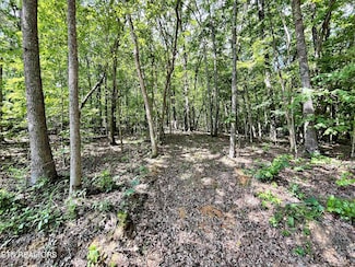 Lot 2 Raby Hollow Rd, Kingston, TN 37763